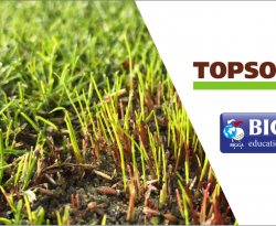 British Sugar TOPSOIL becomes BIGGA Education Supporter