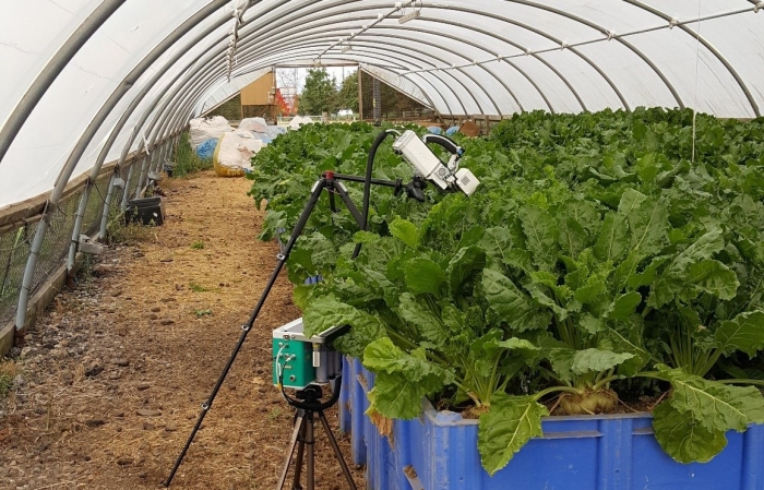 Landscape20 used in water use efficiency experiment at University of Nottingham