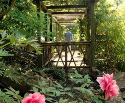 University of Bristol Botanic Garden