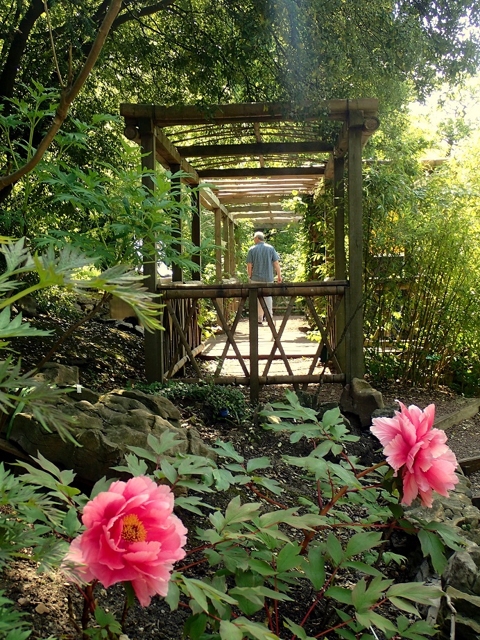 University of Bristol Botanic Garden