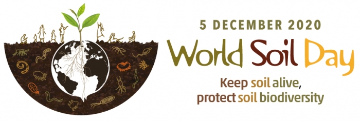 World Soil Day