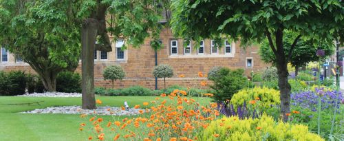 It is time to think about Spring planting