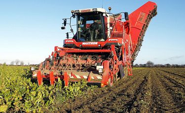 Sugar Beet Harvesting