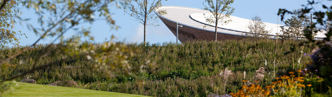 Topsoil Bulk Delivery - Olympic Grounds