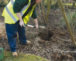 Planting & Turfing - Part 1