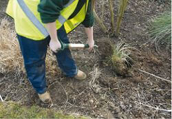 Planting & Turfing - Part 2